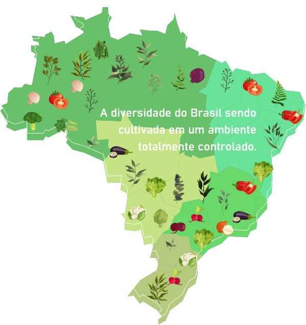 Mapa Saudavel